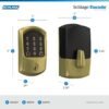 Schlage Encode Smart WiFi Deadbolt Lock for Front Door - Keyless Entry with App or Touchscreen - Works with Alexa, Apple HomeKit, Hey Google, & Airbnb - Create Codes for Guests - Satin Brass Gold