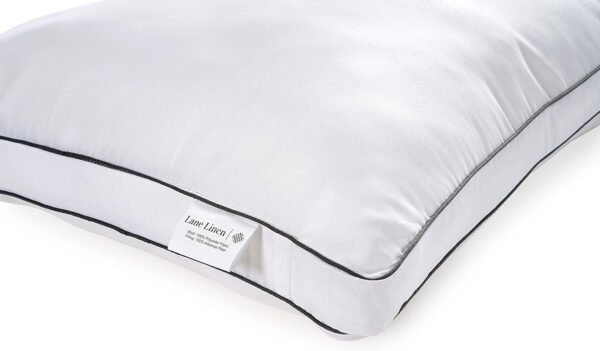71PEuRuqr0L._AC_SL1500_.jpg LANE LINEN Pillows Standard Size Set of 4 (20"x26") - Soft Gusseted Bed Pillow for Back, Stomach or Side Sleepers - Hotel Quality Down Alternative Standard Pillows Pack of 4 - White