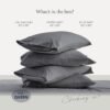 71UDhvv6aML._AC_SL1500_.jpg BELADOR Silky Soft Sheet Set - Luxury 6 Piece Bed Sheets for Queen Size Bed, Secure-Fit Deep Pocket Sheets with Elastic, Breathable Hotel Sheets & Pillowcase Set, Wrinkle Free Oeko-Tex Sheets