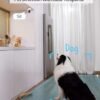 71zRcPwlcoL._AC_SL1500_.jpg eufy Security Indoor Cam E220, Camera for home Security, Pan & Tilt, Dog/Pet Camera, 2K Wi-Fi Plug-in, Motion Tracking, Motion Only Alerts, Night Vision, HomeBase 3 Compatible, Voice Assistant Support