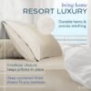 81CKzPQkgL._AC_SL1500_.jpg Hotel Sheets Direct 4 Piece Bed Sheet Set Queen Size, 100% Viscose Derived from Bamboo Sheets Set with 2 Pillowcases, Cooling & Breathable Luxury Bedding, Moisture-Wicking & Silky Soft Texture, White