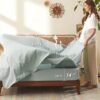 81T5Y-DlBML._AC_SL1500_.jpg Bedsure Queen Comforter Set - 7 Pieces Floral Sage Green Soft Bedding Sets, Queen Bed in a Bag with Botanical Flowers Comforter, Sheets, Pillowcases & Shams